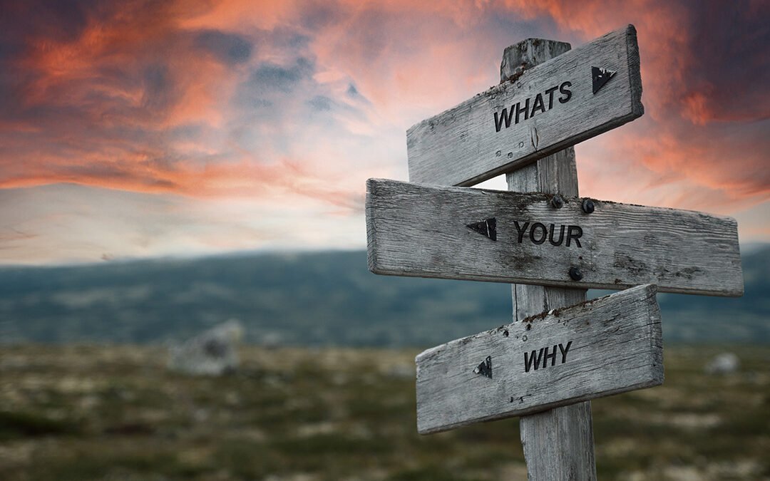 Why: The Foundation For Everything We Do Including Our Recovery